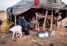 This is what life is like in the world’s last country to ban slavery Slavery ended in Mauritania in 1981 but tens of thousands still live in bondage.