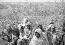 Female genital mutilation: Hope blooms in Somaliland Female genital mutilation is banned in Agamsaha village
