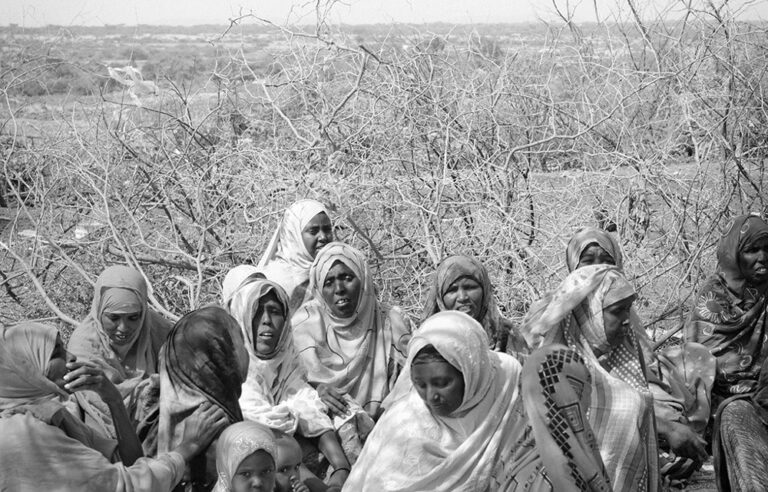 Female genital mutilation: Hope blooms in Somaliland