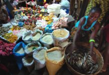 Stories from post-Ebola Sierra Leone: Closed for business Stories from post-Ebola Sierra Leone: Closed for business