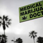 Many cultures have used cannabis as a medicine