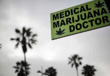 It’s high time we make cannabis available for medical research Many cultures have used cannabis as a medicine