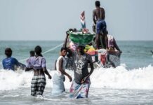 China’s overfishing of Africa: The lure and the lies A woman brings in a bucket of fish in Gunjur village