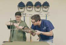 Cobras & cures: Why the world is running chronically low on snake antivenom