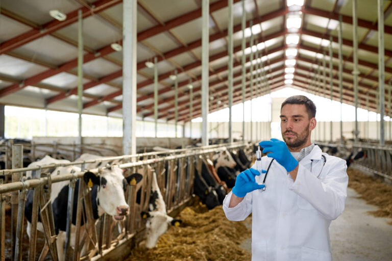 Three reasons not to take animal medicine