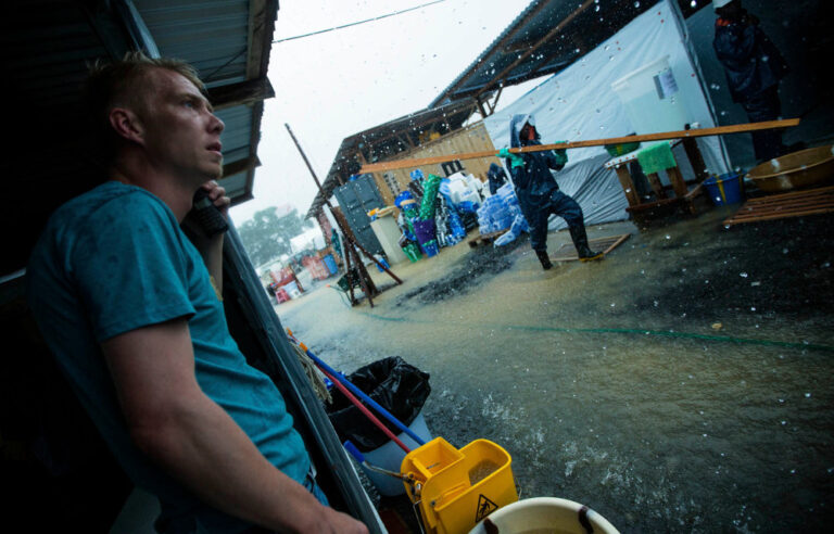 Ebola thrives on the scraps of war and blight