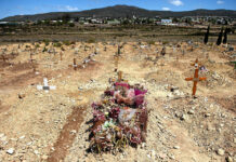 This Valentine’s Day don’t ignore the screams next door All sectors in society need to act to stop gender based violence say Sonke Gender Justice Network as they remember Reeva Steenkamp and Anene Booysen.