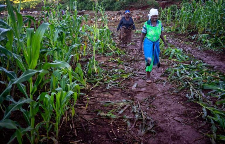 Cyclone Idai: ‘I don’t know how my children will survive’