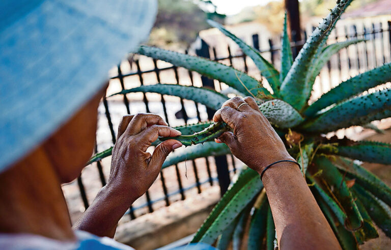 Drug shortages send rural patients back to home remedies