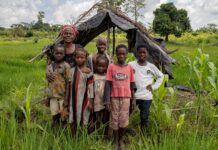 ‘Retirement will come the day I’m buried’: Côte d’Ivoire grandmothers are left holding the baby
