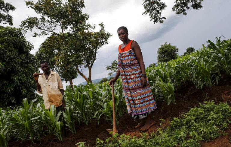Water-fed gardens in Malawi ward off starvation – for now