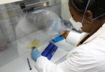 Africa’s COVID-19 coronavirus research must be tailored to its realities – by its own scientists