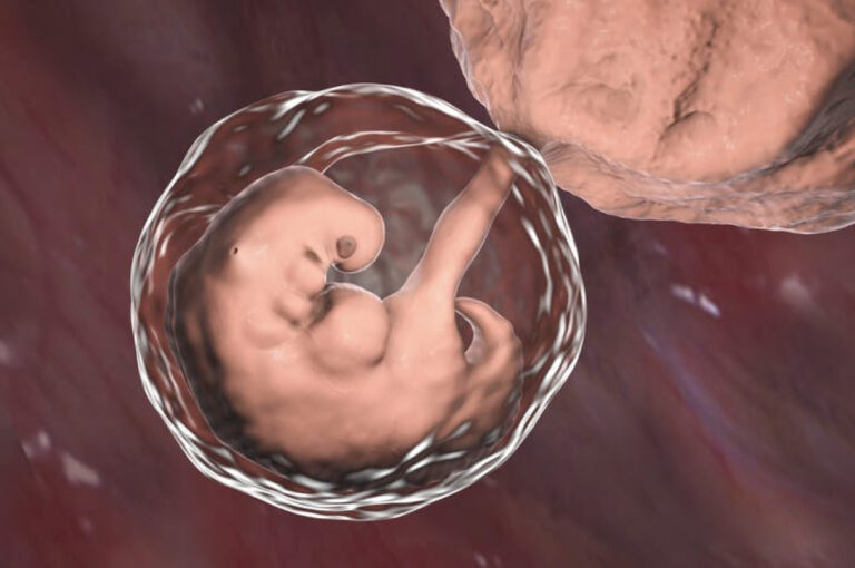 GMO babies: Inside the bad science that sent a Chinese scientist to prison.