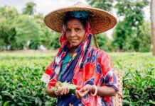 ‘The world’s most neglected disease’: Why leprosy still runs rampant amongst Bangladeshi tea pickers