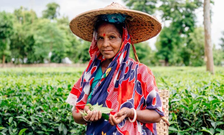 ‘The world’s most neglected disease’: Why leprosy still runs rampant amongst Bangladeshi tea pickers