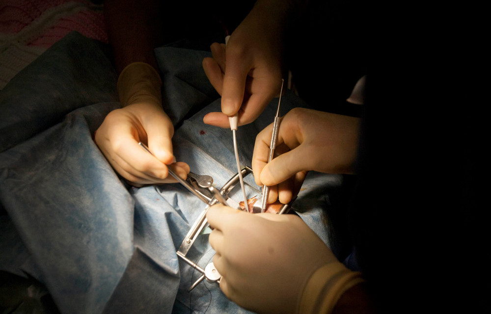 Unequal: Only 16% of the population have medical schemes and private healthcare. The rest must make do with public hospitals when they fall ill.