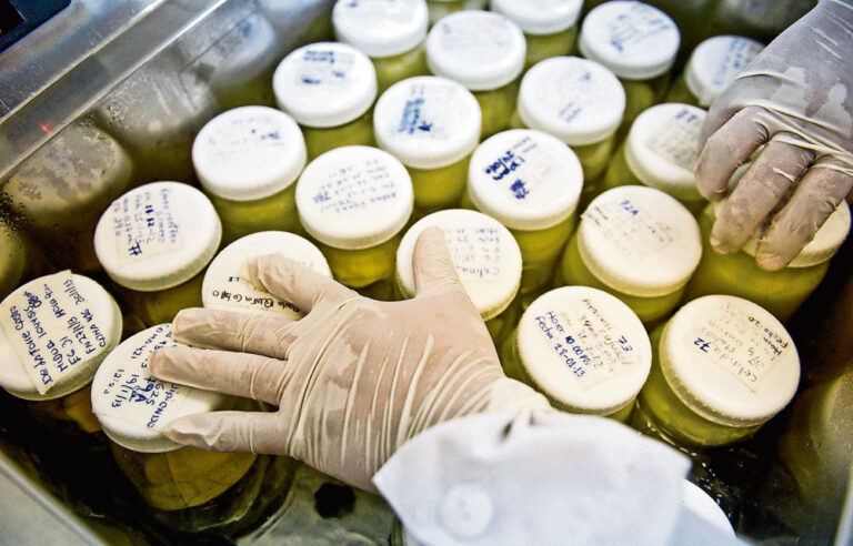 Give and take: When the profit motive clouds milk donation