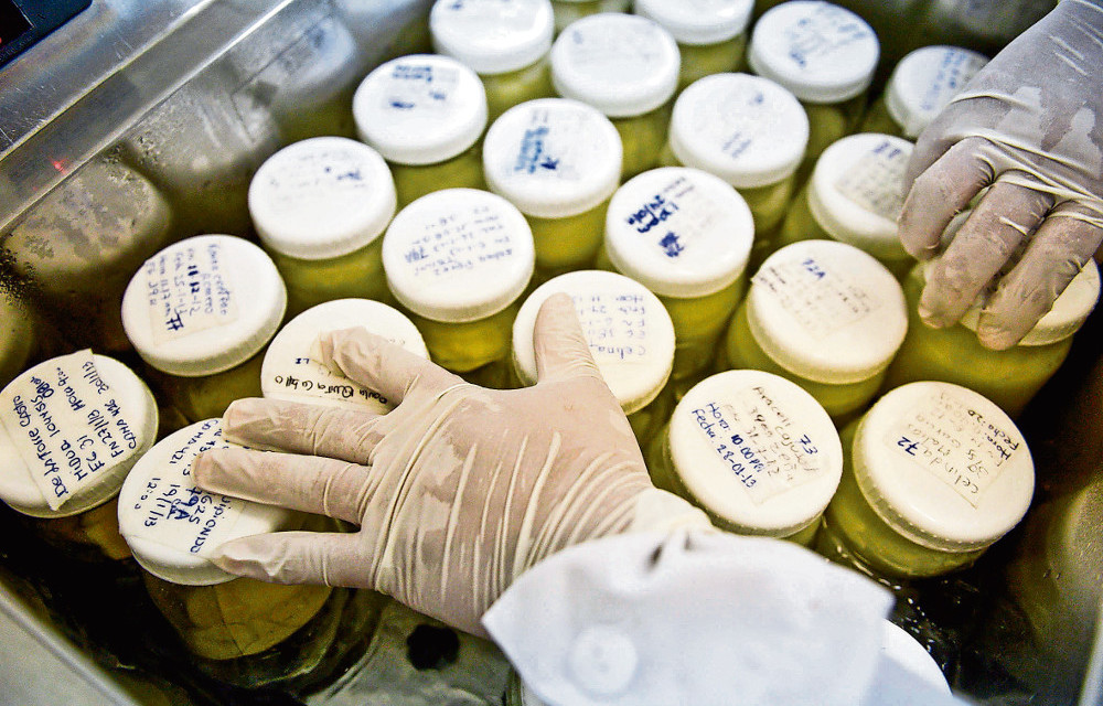 Bank on this: A doctor stores breast milk at the human milk bank in Lima.