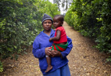 Plant, pick, pack: Finding Mpumalanga’s missing fruit pickers Amelie Chauke was able to keep up with her healthcare on the go and ensure her baby was born HIV negative with the help of farm-based clinics.