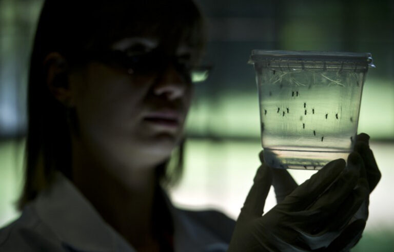 No cause for panic stations over SA Zika case, says expert