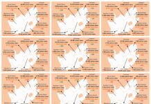 Mapping a virus: Tracking the spread of South Africa’s COVID-19 outbreak