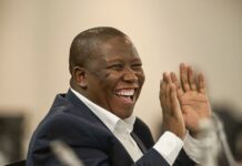 EFF’s Julius Malema loses extra kilos and the fat cats jeer After Malema adopted a healthy lifestyle and shed extra pounds