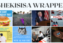 Bhekisisa wrapped: Our greatest hits from 2021