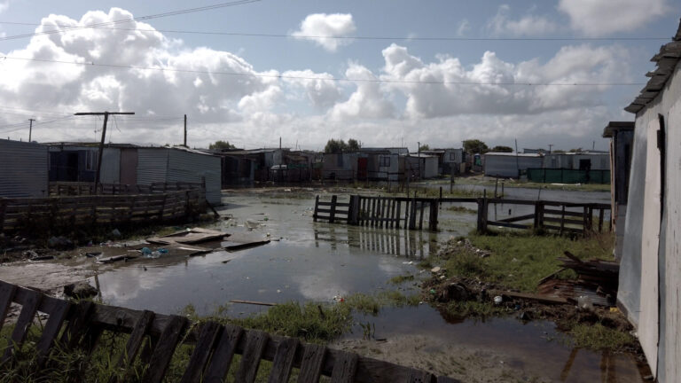 [WATCH] How does cholera spread?