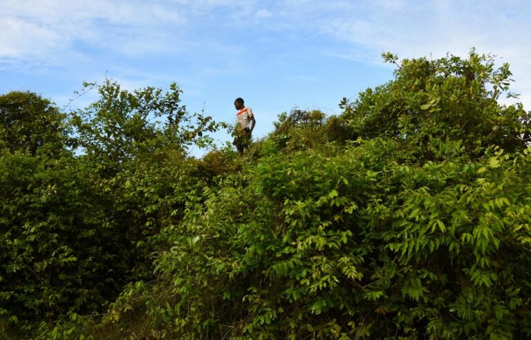 ‘Our god is stronger’ — can biodiverse Bijagós fend off evangelical threat?