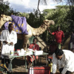 Nurse Pauline dips into a medicines box. Pauline and her team travel hundreds of kilometres by camel to provide health services to Kenya's most remote villages