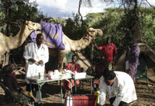 In rural Kenya, camel clinics bring much needed care to those who need it Nurse Pauline dips into a medicines box. Pauline and her team travel hundreds of kilometres by camel to provide health services to Kenya's most remote villages