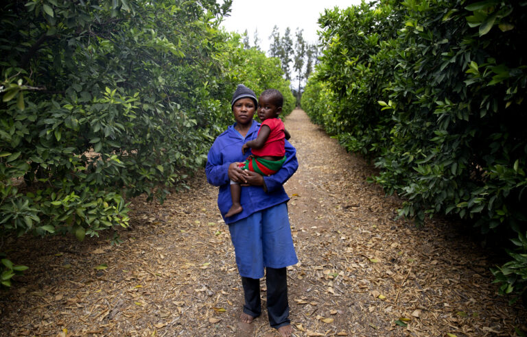 On the road: Go inside the farm clinics making sure workers are never far from care
