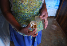 Mpumalanga healthcare limps to aid of ailing poor *Pam Dlamini is HIV positive