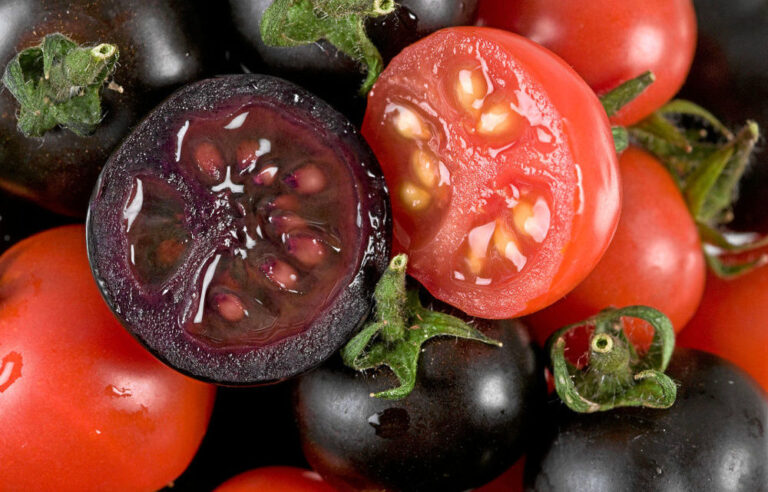 The jury is out on antioxidants