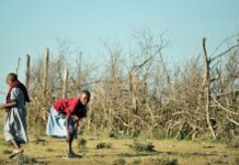 Schoolgirls in this country face compulsory tests for pregnancy, genital mutilation Young Maasai girls leave their village near Narok to go to school. Campaigners say addressing poverty and gender-based violence in the area is vital.