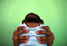The Zika link: Small heads and brains The Zika link: Small heads and brains