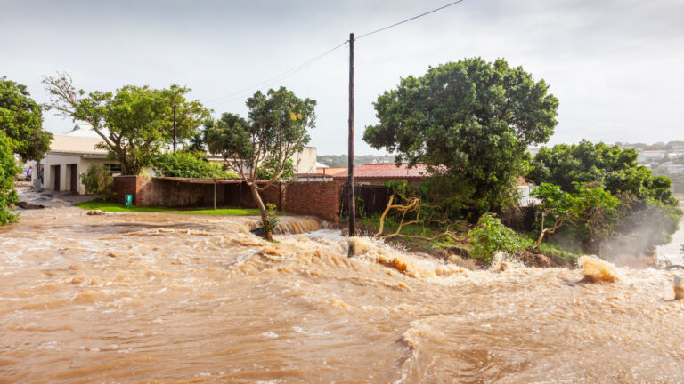 #COP27: These KZN flood victims’ fates were sealed years ago