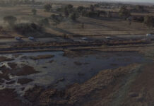 Health Beat #10 | What SA’s dirty water does to your health