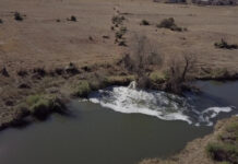 ‘It’s bleak’: What a future with dirty water looks like