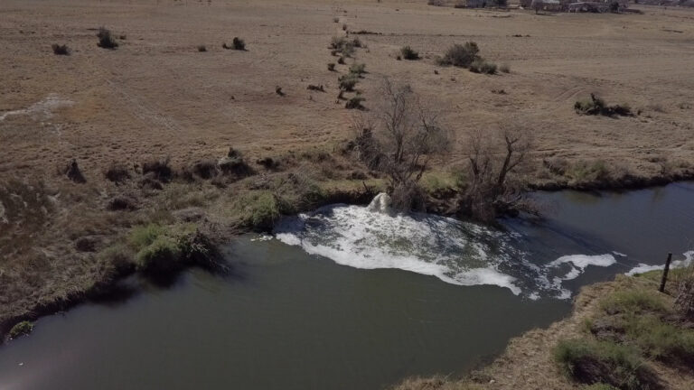 ‘It’s bleak’: What a future with dirty water looks like