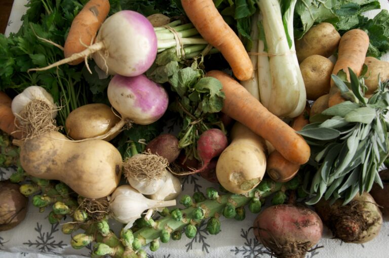 Floods, food and families: Why climate change makes eating well harder
