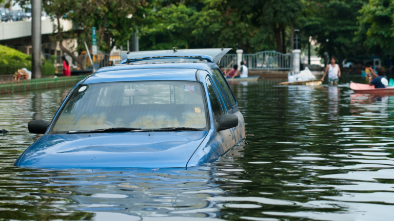 Should your party save you from floods? Voters think so