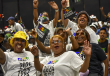 Election promises: RISE Mzansi