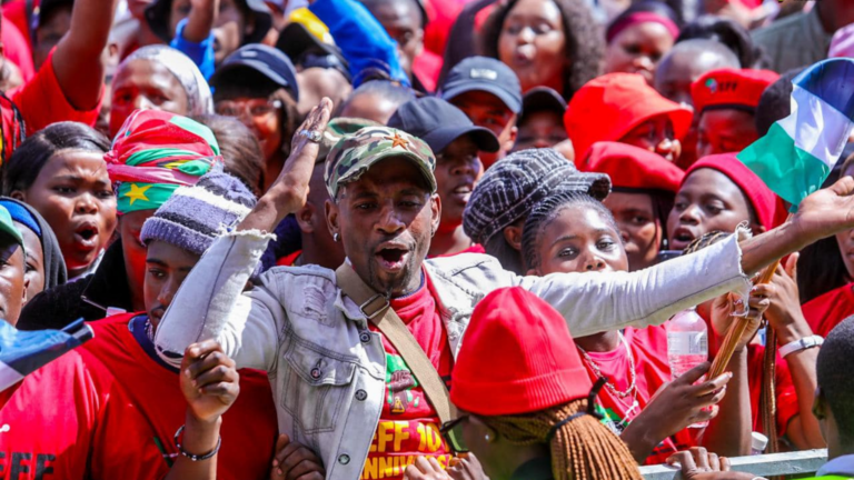 Election promises: Economic Freedom Fighters