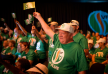 Election promises: Freedom Front Plus