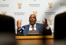Eight things Motsoaledi and Phaahla have in common