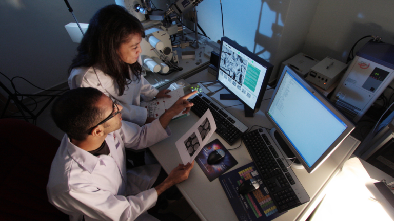 [UPDATED] SA research grants could all be stopped, says leaked memo — and the NIH isn’t denying it