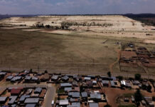 The toxic storm brewing in Soweto’s Snake Park