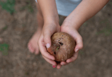Childhood stunting is also stunting our economy. Here are five ways to fix that