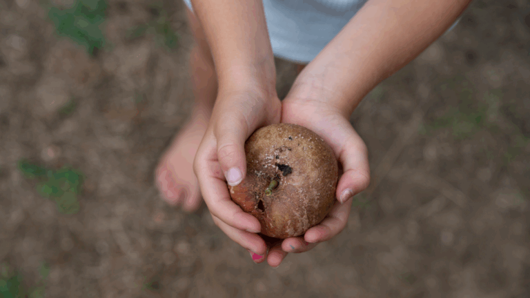 Childhood stunting is also stunting our economy. Here are five ways to fix that
